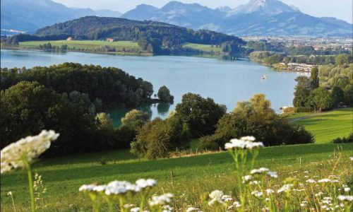 Lac-de-la-Gruyere