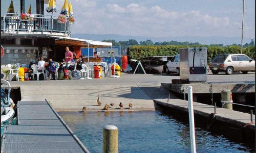 Terre-Sainte-Versoix
